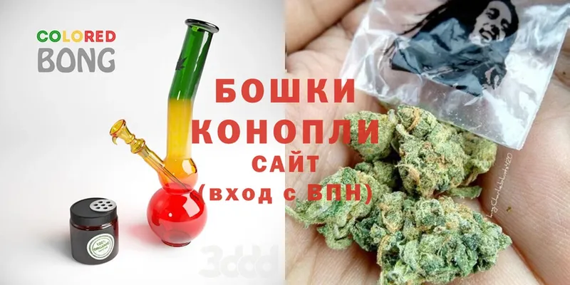 где найти наркотики  Пудож  Бошки Шишки THC 21% 